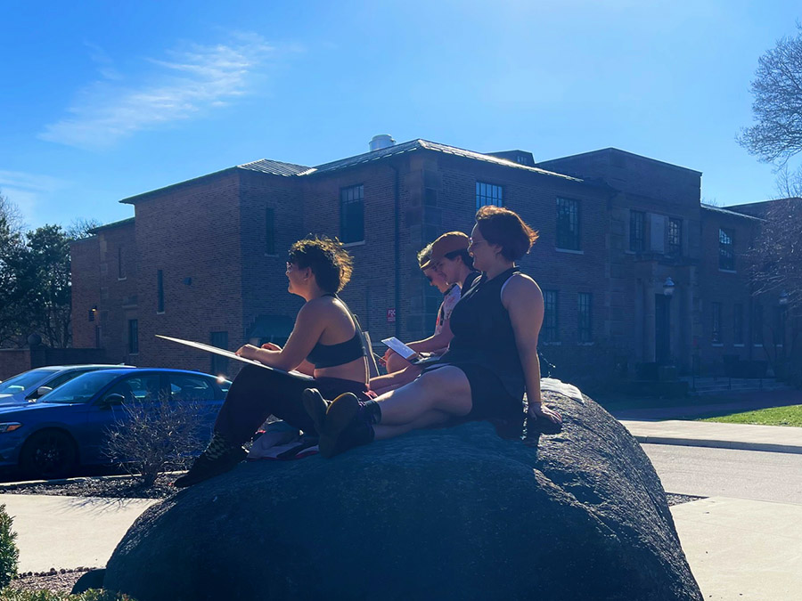 Sunning on the Orton erratic